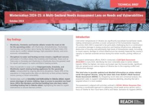 UKR2215 - Winterisation 2024/25 - Cold Spots Assessment - A Multi-Sectoral Needs Assessment Lens on Needs and Vulnerabilities - Technical Brief