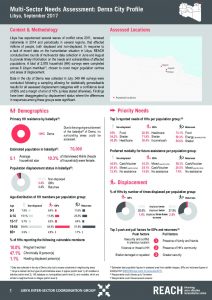 LBY_Factsheet_MSNA Derna Profile_September 2017