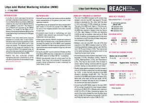REACH LBY Situation overview JMMI July 2021