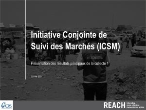 Présentation des résultats de l’Initiative Conjointe de Suivi des Marchés en Haïti – 1er cycle, novembre 2020