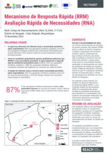 REACH Moçambique RRM Avaliação Rápida de Necessidades Factsheet- Ntole, Distrito de Nangade (19/11/24)