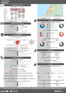 LBN_Profile_HCV_Lebanon_Jul2015