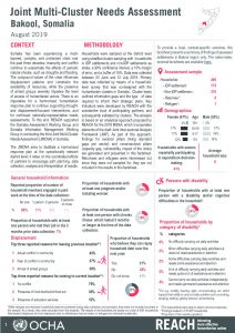 Somalia Joint Multi-Cluster Needs Assessment, Bakool Regional FS, August 2019