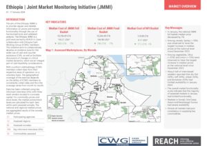 REACH Ethiopia Joint Market Monitoring Initiative (2024-01-02 - 2024-01-17)