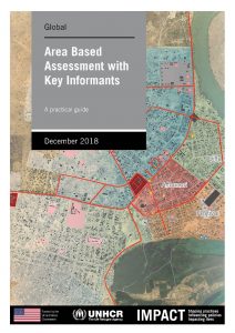 Area-Based Assessment with Key Informants