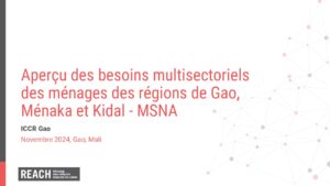 REACH Mali MSNA2024 - Aperçu des besoins multisectoriels des régions de Gao, Ménaka et Kidal