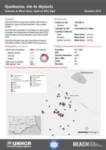 NER_Factsheet_Displacement Site Djambourou_Novembre2016