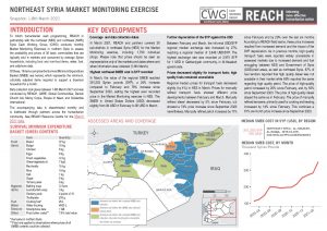 Northeast Syria Market Monitoring Situation Overview – March 2021