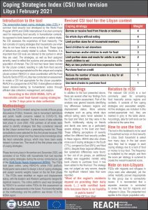 Libya CSI revision assessment factsheet, February 2021