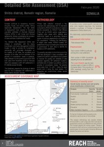 Detailed Site Assessment, Shibis - February 2020