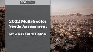 REACH_OPT_2022 MSNA_Cross-Sectoral Findings