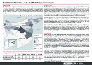 Market Network Analysis - November 2020: Northeast Syria