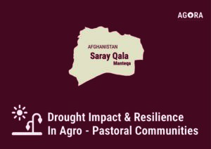 AGORA, Drought Impact and Resilience in Agro-Pastoral Communities in Northwest Afghanistan Sary Qala Manteqa Profile (June 2024 – April 2025)