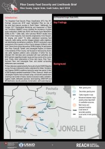 REACH_SSD_Brief_Rapid Assessment Pibor_April 2018