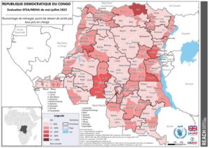 REACH RDC Cartes EFSA/MSNA - Santé : Prise en charge - Octobre 2023
