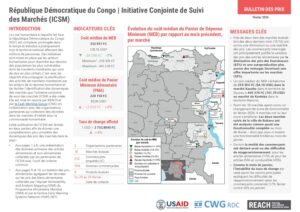 REACH RDC ICSM Factsheet Février 2024