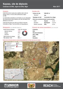 NER_HCR_Factsheet_Profil Site de Déplacés_Commune de Toumour_Kayawa_Mars 2017.pdf