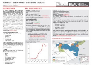 Northeast Syria Market Monitoring Situation Overview, June 2021