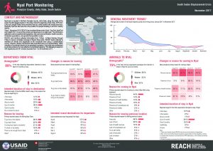 SSD_Factsheet_Nyal Port Monitoring_November 2017