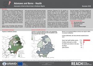 Hard to Reach, Health, Factsheet Borno and Adamawa State, Nigeria, November 2020