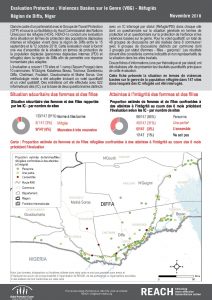 NER_Factsheet_Violences Basées sur le Genre Réfugiés_ Novembre 2018