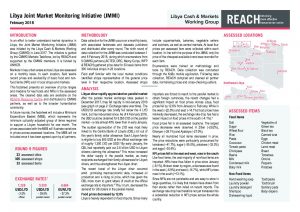 LBY_Situation Overview_Joint Market Monitoring Initiative (JMMI)_February 2018