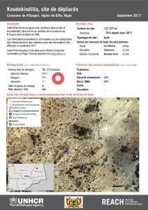 NER_Factsheet_Profil Site de Déplacés de Koudokindilla_Septembre 2017