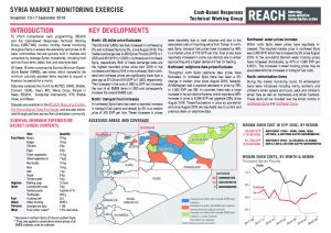 SYR_Situation Overview_Market Monitoring Exercise NW_September 2018