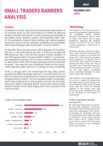REACH Libya Small Traders Barriers Analysis, Nov 2022