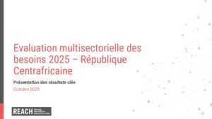 REACH RCA - 2025 MSNA - Présentation des Résultats Clés