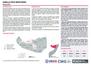 SOM_Situation Overview_Market Price Monitoring_February 2019