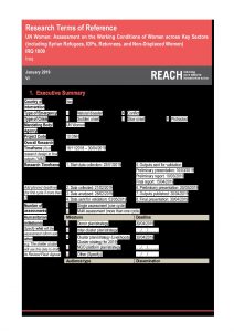 IRQ_TOR_Women's Employment and Working Conditions Assessment_January 2019