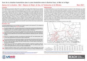 REACH MLI Situation overview  HSM  March 2021
