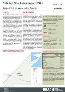 REACH SOM Factsheet DSA Galdogob March 2021