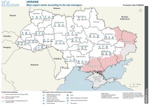 Collective Site Monitoring (CSM). Round 2, July 2022. Urgent Needs map