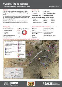 NER_Factsheet_Profil Site de Déplacés de N'Guigmi_Septembre 2017