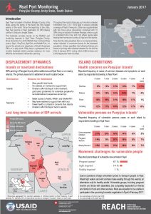 SSD_Factsheet_Nyal Port Monitoring_January 2017