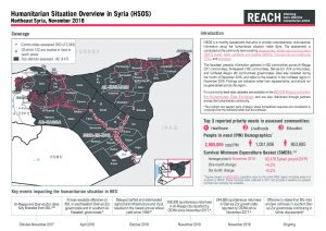 REACH_SYR_Factsheet_HSOS Regional Factsheet_NES_November 2018