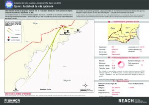 NER_Factsheet_Displacement Site Djalori_Juin2016
