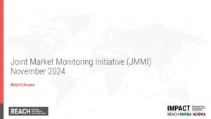REACH_UKR_JMMI_Presentation_Round_32_November_2024
