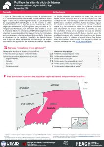Profilage des sites de déplacés internes dans la commune de Bosso, région de Diffa, Niger - Septembre 2020