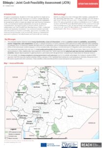 REACH Ethiopia - Joint Cash Feasibility Assessment - March 2025