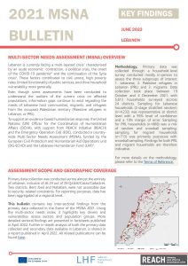 MSNA 2021: Multi-Sectoral Needs Index Bulletin, June 2022