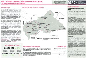 REACH RCA Fiche informative Suivi des marchés Mars 2022