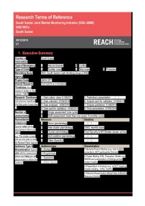 South Sudan – Joint Market Monitoring Initiative (JMMI) – December 2019 – Terms of Reference (external)