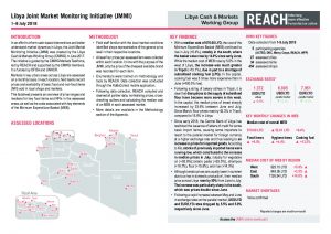 LYB_SO_Joint Market Monitoring Initiative (JMMI)_July 2018