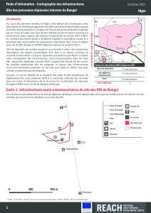 REACH_NER_Factsheet_RRM_bangui_October 2021
