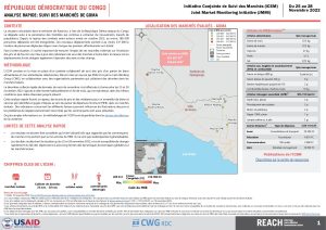 REACH RDC ICSM Analyse Rapide Goma, Factsheet Novembre 2022