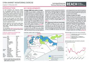 SYR_Situation Overview_Market Monitoring Exercise NE_November 2018