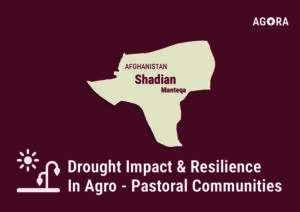 AGORA, Drought Impact and Resilience in Agro-Pastoral Communities in Northwest Afghanistan Shadian Manteqa Profile (June 2024 – April 2025)
